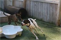 daycare pic 88 - play time
